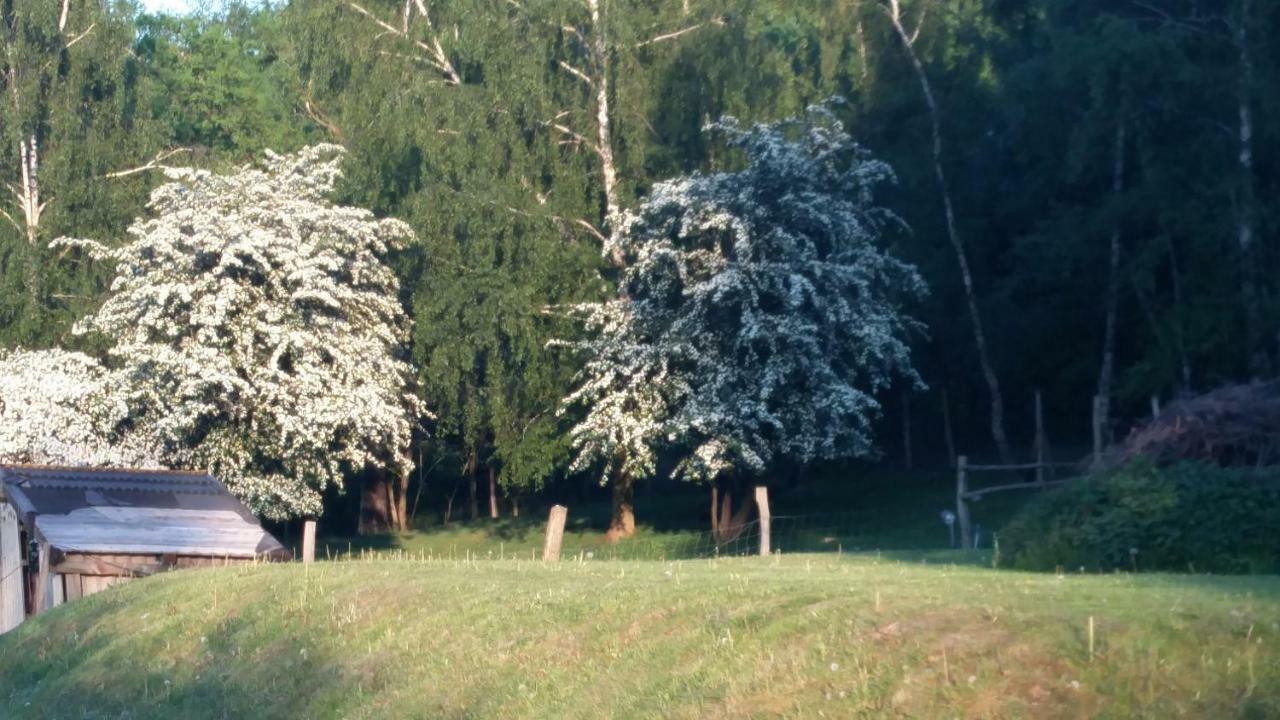Zimmervermietung Am Holzberg Thallwitz Bagian luar foto